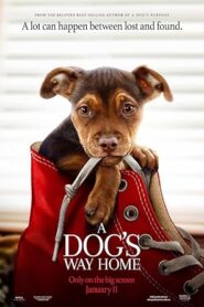 A Dogs Way Home (2019)