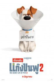 The Secret Life Of Pets 2 เรื่องลับแก๊งขนฟู 2