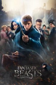 Fantastic Beasts and Where to Find Them สัตว์มหัศจรรย์และถิ่นที่อยู่