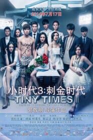 Tiny Times 3.0 (2014) วันเวลาคราทุกข์ทน