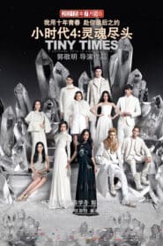 Tiny Times 4.0 (2015) ตราบจนสิ้นชีวา