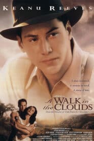 A Walk in the Clouds (1995) จะขอบูชาหัวใจเธอไว้ที่วิมานเมฆ