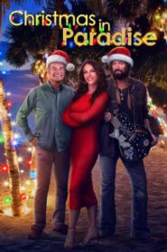 Christmas in Paradise (2022) บรรยายไทย