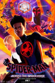 Spider-Man: Across the Spider-Verse (2023) : สไปเดอร์-แมน: ผงาดข้ามจักรวาลแมงมุม