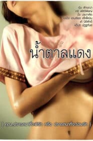 Brown Sugar 1 น้ำตาลแดง 1 (2010)