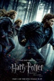 Harry Potter Part 1 (2010) แฮร์รี่ พอตเตอร์ กับ เครื่องรางยมฑูต ภาค 7.1