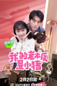 ซีรี่ย์จีน My Piggy Boss หัวหน้าฉันเป็นหมูน้อย (2024) ซับไทย